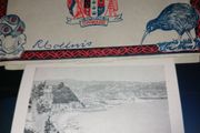 Wellington New Zeland Vintage Postcard Views