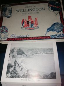 Wellington New Zeland Vintage Postcard Views