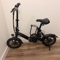 Fiido D3 Pro Electric Bike