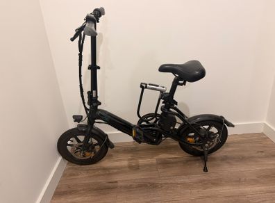 Fiido D3 Pro Electric Bike