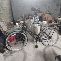 Ladies and gents bike