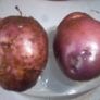 Seed Potatoes Image 2