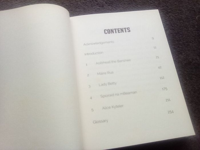 Defiant Irish Women Book