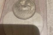 Irish Pound Coin