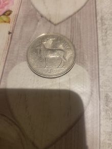 Irish Pound Coin