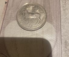 Irish Pound Coin