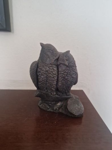 owls
