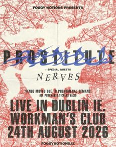 Prstitute W/ Support From Nerves
