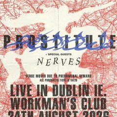 Prstitute W/ Support From Nerves