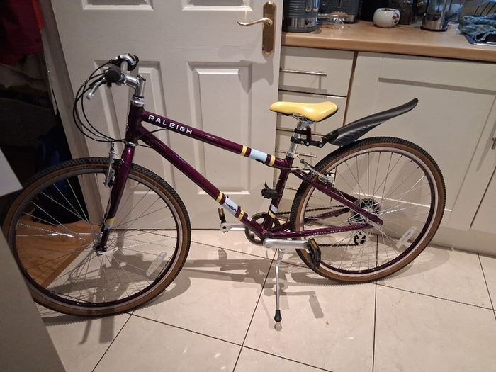 Older Girls Raleigh bike 26"