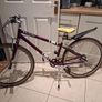 Older Girls Raleigh bike 26" Image 3