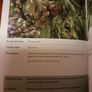 Plant ALERT / A Garden Guide for Parents / Catherine  Collins/ 2001 Image 6