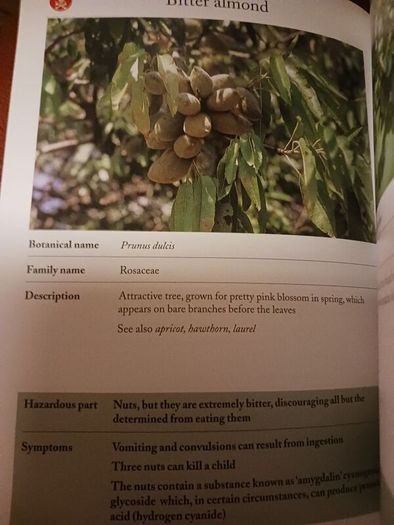 Plant ALERT / A Garden Guide for Parents / Catherine  Collins/ 2001