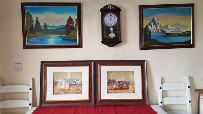 2 Piece Vanessa Jayne Large Wooden And Glass Framed Prints - Lion Family And Zebra Family