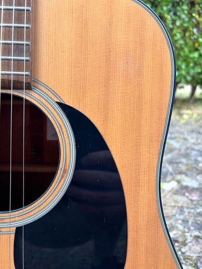 Takamine G320-NS