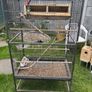 bird cage Image 3