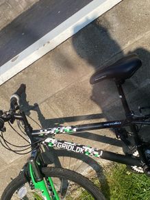 Older kids bike