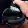 Haix military boots Image 6