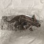 Schleich Dinosaur Triceratops - brand new Image 3