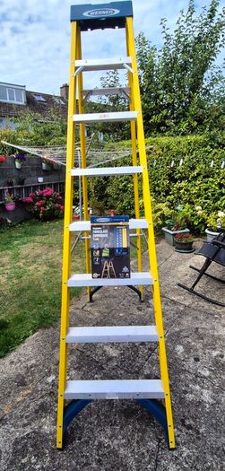 Werner 8 thread Fibreglass Ladder