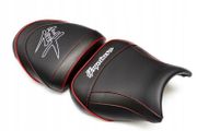 Hayabusa bars and custom seat cushions