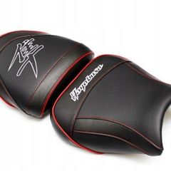 Hayabusa bars and custom seat cushions