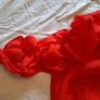 Red Top Image 2