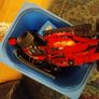 Lego Image 3