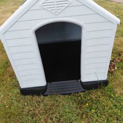 kennel