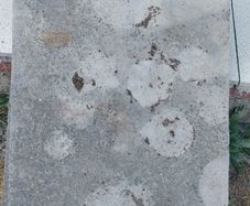 Flagstones
