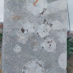 Flagstones
