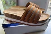 New Camel Slides