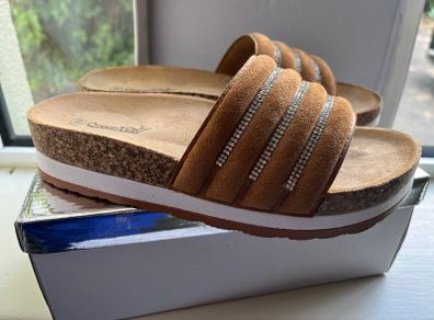 New Camel Slides
