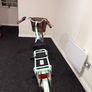 Electric bike Image 5