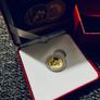 Gold coin Image 9