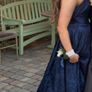 Beautiful Debs dress Image 2