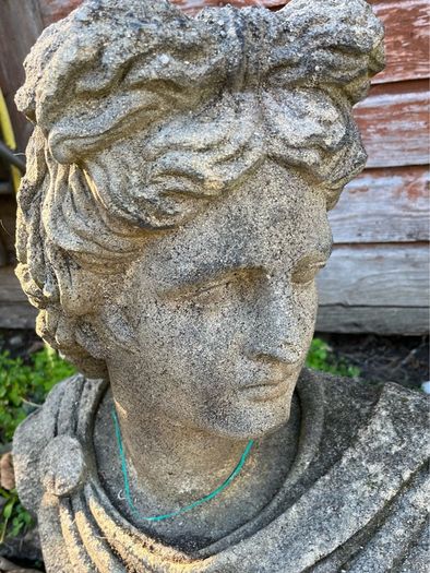 Bust