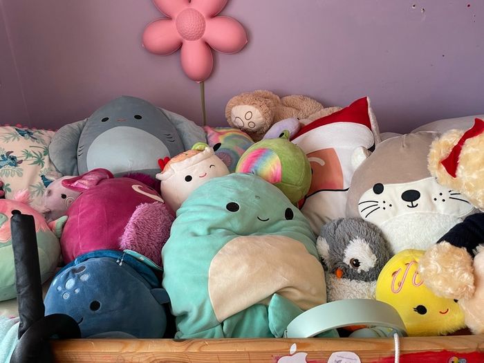 Teddys For Sale in Lucan, Dublin from joleescatering