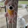 Soft Toy - Mice Image 2