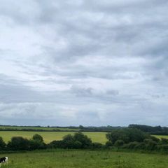 Silage ground for second cut