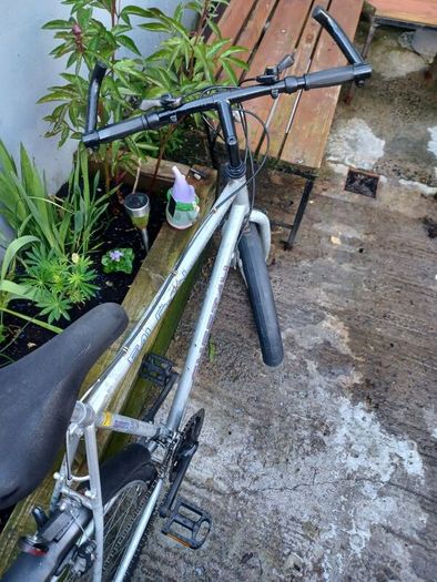 Falcon mens bike