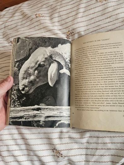 St Bernadette. A Pictorial Biography By Leonard Von Matt And Francis Trouchu. First Edition 1957. Large Volume Hardback In Fair Condition.  See Photos For Same.