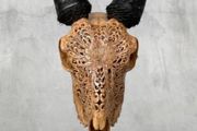 Authentic Hand Carved Goats Head And Horns (38cm) - Bone, Metal Stand