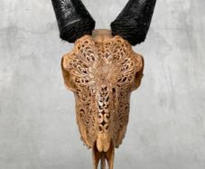 Authentic Hand Carved Goats Head And Horns (38cm) - Bone, Metal Stand