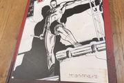 David Mazzucchelli Daredevil Born Again Artist Edition