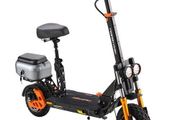 TWOFISH V5 MAX Electric Scooter with Seat