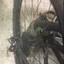 Focus Black Raider Mountain Bike Image 4