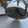 Vintage French brass single ceiling lantern light Image 5