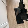 Sky Glass Gen 1 65 inch STAND ONLY Image 3