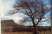 Ireland's Wild Countryside